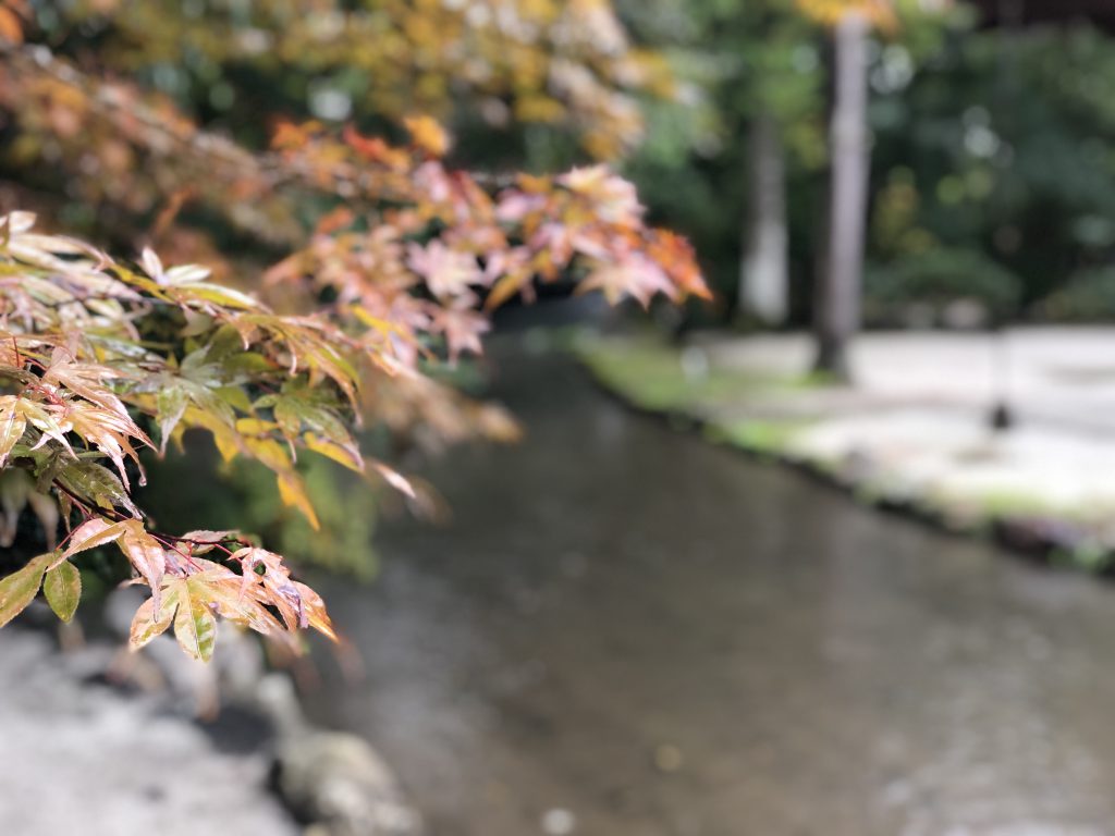 京都　上賀茂神社　ポーセラーツ (1)
